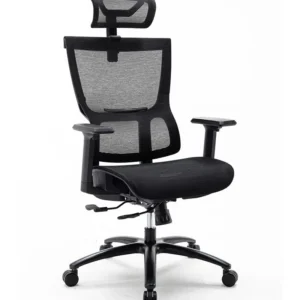 Ghế công thái học Warrior WEC506
